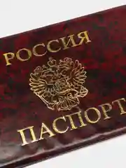 Бордовый обложка-чехол на паспорт