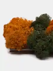 Двойное панно из стабилизированного мха