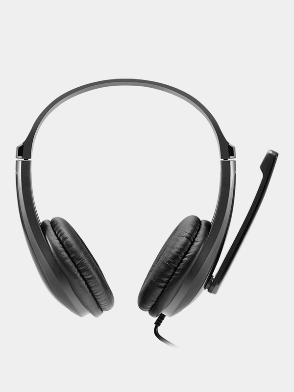 Компьютерная гарнитура Canyon CHSU-1, USB, 2 м, черный