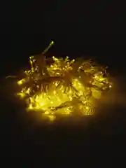 Гирлянда "Бахрома", с насадками в виде сердца, 2 х 1.5 м, IP20, 124 LED, 220 В