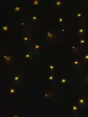 Гирлянда "Бахрома", с насадками в виде сердца, 2 х 1.5 м, IP20, 124 LED, 220 В