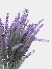 Фиолетовый цветы искуственные букет лаванды