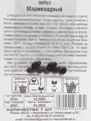 Арбуз Сибирский сад "Мармеладный", 7 штук