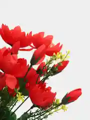 Красный искусственные цветы "Лотос. Букет"