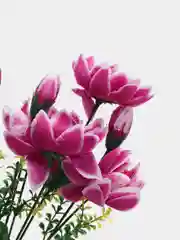 Фуксия искусственные цветы "Лотос. Букет"