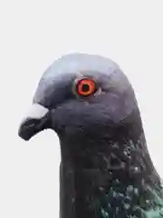Подушка Голубь, большая
