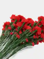 Красный искусственные цветы "Гвоздики кустовые", 5 веток в упаковке