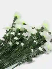 Белый искусственные цветы "Гвоздики кустовые", 5 веток в упаковке