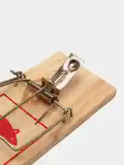 Мышеловка деревянная, 2 штуки, для отлова мелких грызунов и мышей