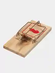 Мышеловка деревянная, 2 штуки, для отлова мелких грызунов и мышей