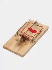 Мышеловка деревянная 2 штуки для отлова мелких грызунов, мышей
