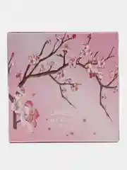 Серебряный пудра для лица