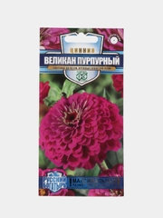 Цинния Великан пурпурный (семена,цветы)