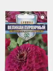 Цинния Великан пурпурный (семена,цветы)
