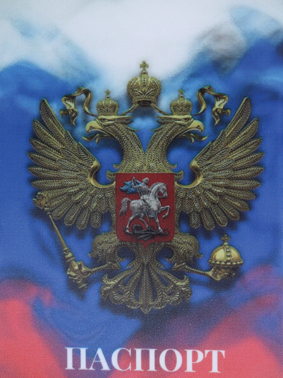 Обложка для паспорта