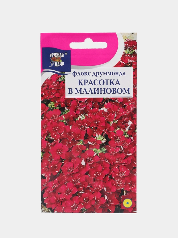 Семена цветов Флокс "Красотка в малиновом", 0,1 г, Урожай удачи