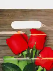 Красный пакеты подарочные 19*30 см, 30*40 см, товары для праздника, пакетики