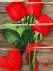 Красный пакеты подарочные 19*30 см, 30*40 см, товары для праздника, пакетики