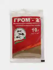 Гром-2