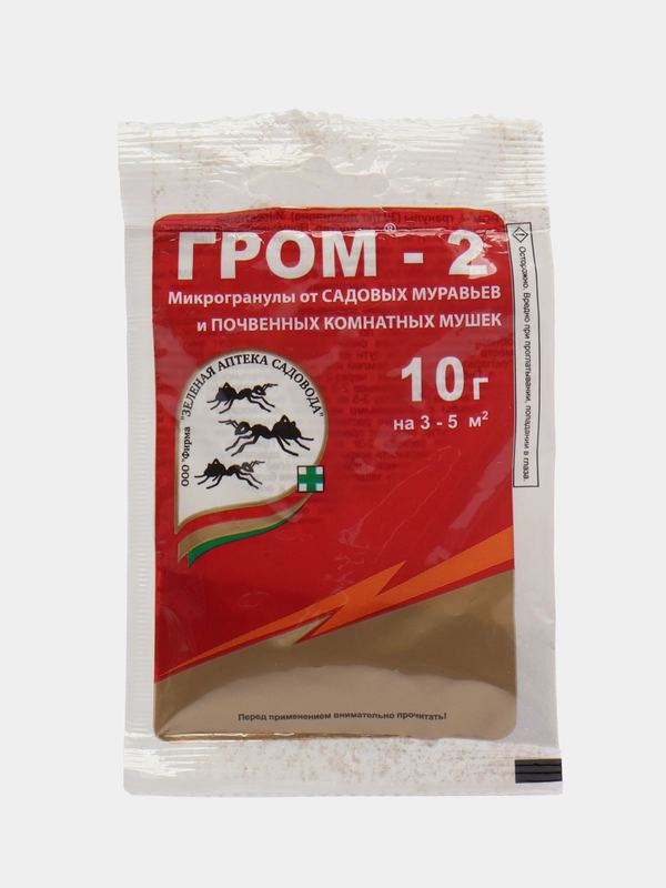 Гром-2
