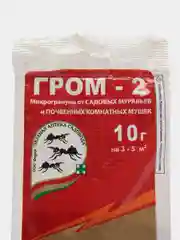 Гром-2