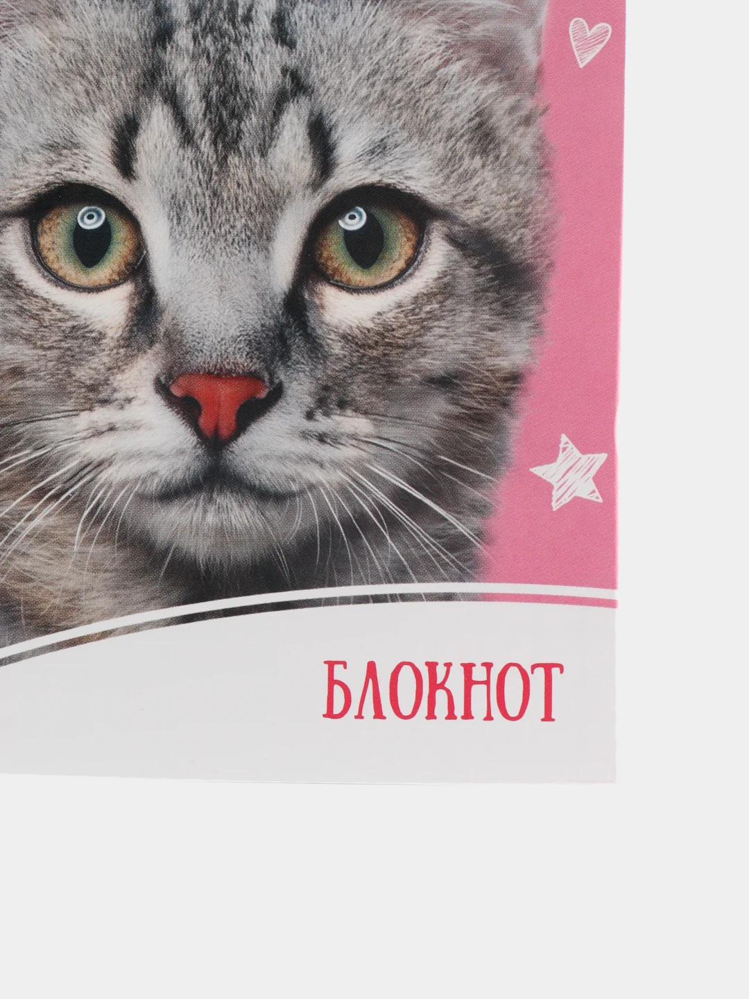 Блокнот А7, 24 листа на скрепке "Домашние животные", обложка мелованная бумага, МИКС