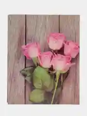 Серый фотоальбом на 200 фотографий, 10 х 15 см, разные виды