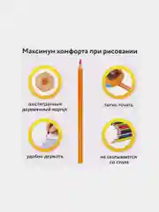 Карандаши цветные классические мягкие 18 ярких цветов, BRAUBERG PREMIUM, КОМПЛЕКТ, 880540