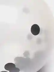 Черный воздушный шар, с конфетти