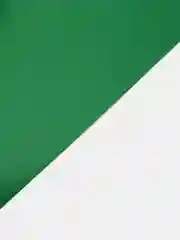 Обложки картонные для переплета, А4, КОМПЛЕКТ 100 шт., глянцевые, 250 г/м2, зеленые, BRAUBERG, 530954
