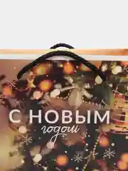 Золотой новогодняя коробка-пакет