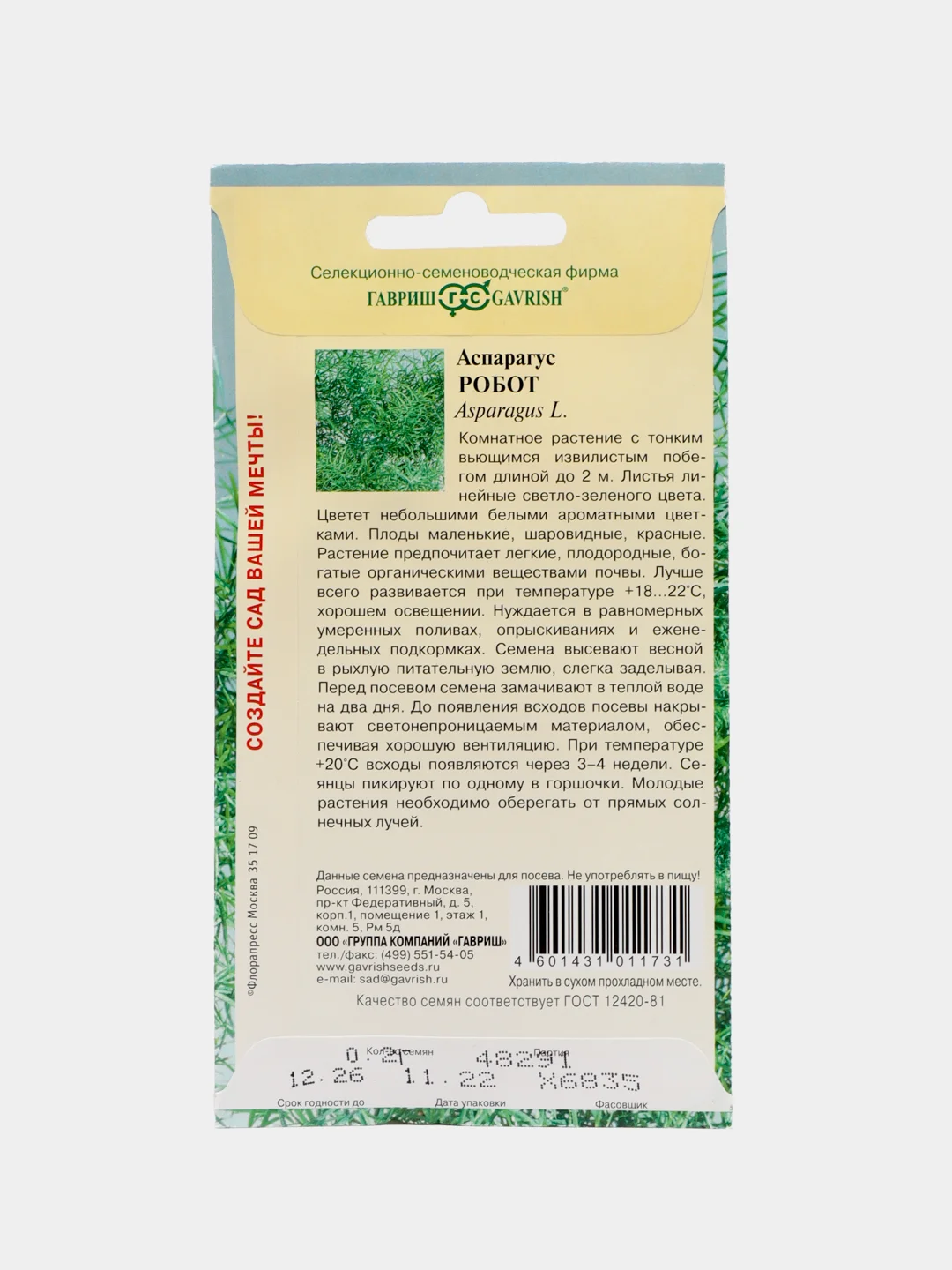 Семена цветы "Аспарагус кистистый Робот"