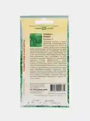 Семена цветы "Аспарагус кистистый Робот"
