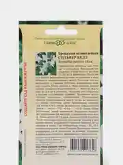 Броваллия Сильвер белл (семена,цветы)