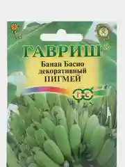 Банан декоративный Пигмей (семена,цветы)