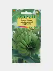 Банан декоративный Пигмей (семена,цветы)