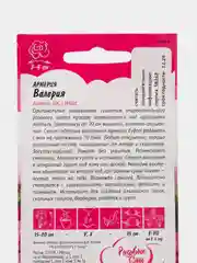 Армерия Валерия (семена,цветы)