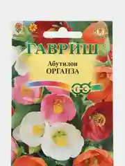 Семена цветы "Абутилон Органза"