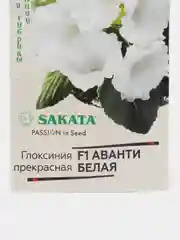 Глоксиния Аванти белая (семена,цветы)