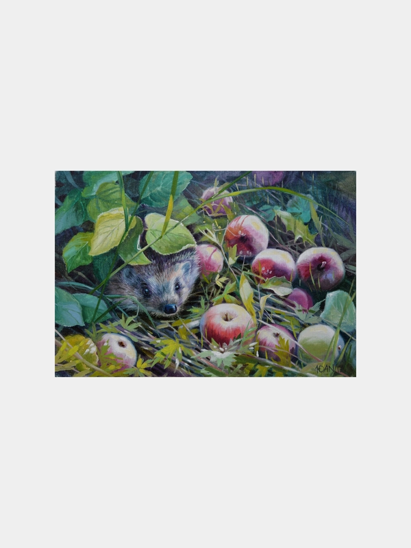 Картина стразами (алмазная мозаика) 30 x 40 см, ОСТРОВ СОКРОВИЩ "Ёжик", без подрамника