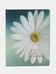 Молочный фотоальбом "Цветы", на 100 фото, 10 х 15, твёрдая обложка, 30 видов