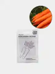 Семена Морковь Королева осени