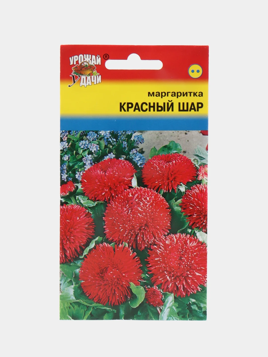 Маргаритки Семена Купить