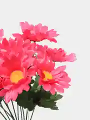 Тёмно-розовый ромашка цветная. Искусственные цветы. Два букета в упаковке