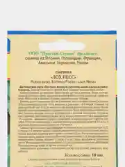 Семена Ежевика ремонтантная "Лох Несс"