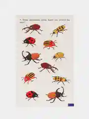 Односложные слова. Логопедические карточки "Играй и говори!" Е. Куцина