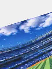 Бронзовый игровой коврик для мыши 180*220*3 мм