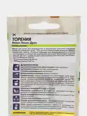 Цветы Торения Каваи Лемон Дроп 5 шт / Семена алтая