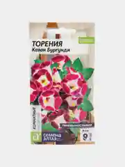 Цветы Торения Каваи Бургунди 5 шт / Семена алтая