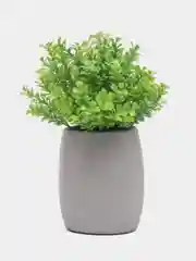 Зеленый декор 2